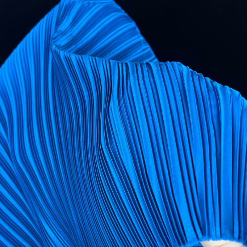 Stretch Imitation Silk Pleated - Sewing Garments 评论和价格